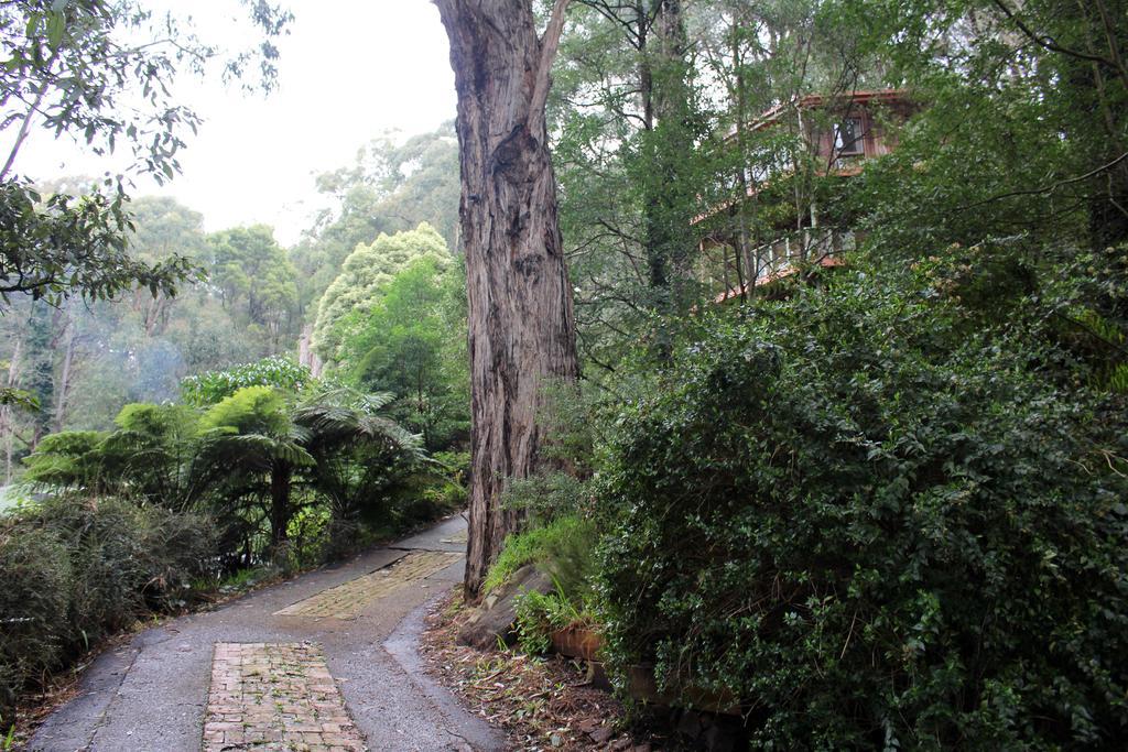 Vila Risehill House Kalorama Pokoj fotografie